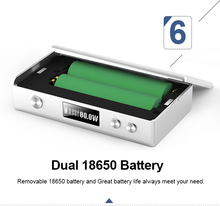 Dual 18650 Batteries